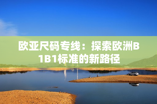 歐亞尺碼專(zhuān)線：探索歐洲B1B1標(biāo)準(zhǔn)的新路徑