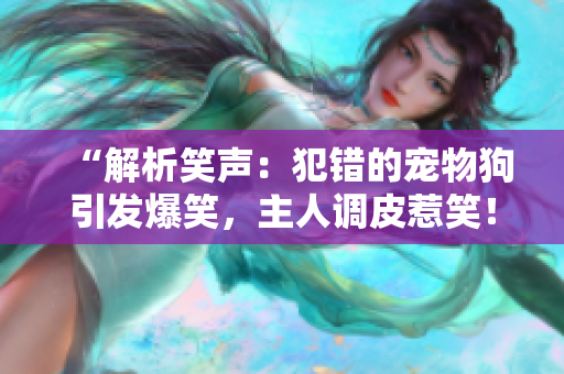 “解析笑聲：犯錯(cuò)的寵物狗引發(fā)爆笑，主人調(diào)皮惹笑！”