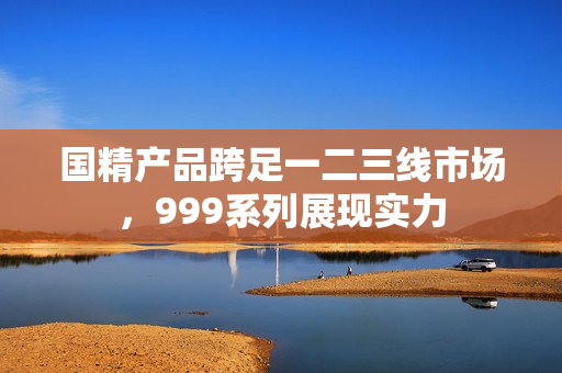 國(guó)精產(chǎn)品跨足一二三線市場(chǎng)，999系列展現(xiàn)實(shí)力