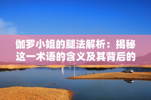 伽羅小姐的腿法解析：揭秘這一術(shù)語的含義及其背后的文化內(nèi)涵