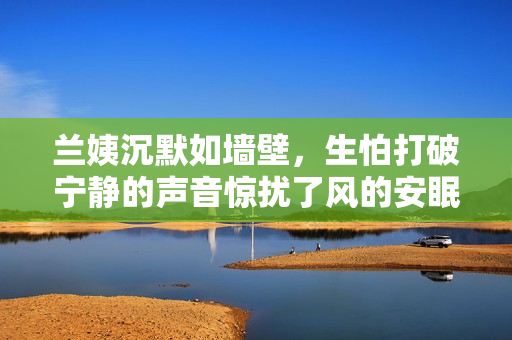 蘭姨沉默如墻壁，生怕打破寧靜的聲音驚擾了風(fēng)的安眠
