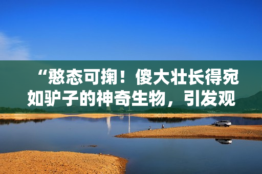 “憨態(tài)可掬！傻大壯長得宛如驢子的神奇生物，引發(fā)觀眾熱議”