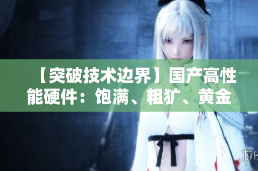 【突破技術(shù)邊界】國(guó)產(chǎn)高性能硬件：飽滿、粗獷、黃金標(biāo)準(zhǔn)