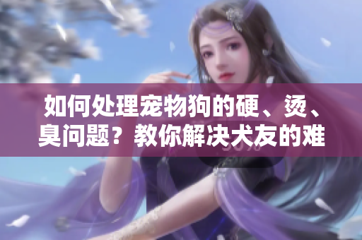 如何處理寵物狗的硬、燙、臭問題？教你解決犬友的難題