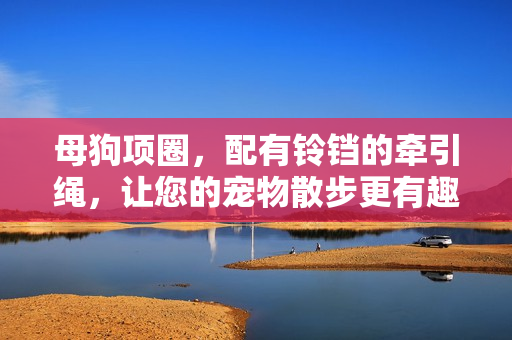 母狗項(xiàng)圈，配有鈴鐺的牽引繩，讓您的寵物散步更有趣
