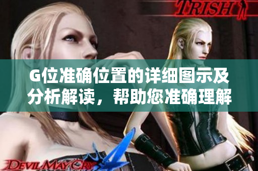 G位準(zhǔn)確位置的詳細(xì)圖示及分析解讀，幫助您準(zhǔn)確理解G位在搜索結(jié)果中的位置特點(diǎn)