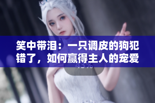笑中帶淚：一只調(diào)皮的狗犯錯(cuò)了，如何贏得主人的寵愛與原諒