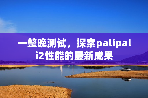 一整晚測(cè)試，探索palipali2性能的最新成果