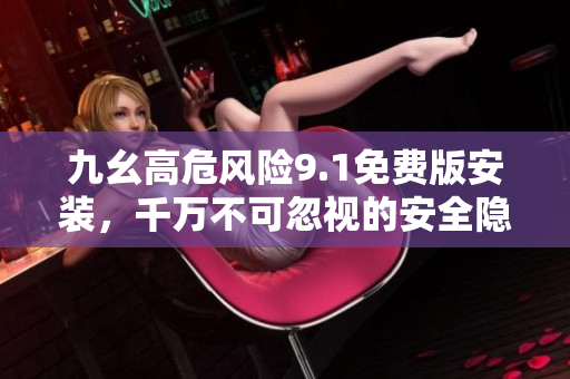 九幺高危風險9.1免費版安裝，千萬不可忽視的安全隱患【詳細安裝指南】