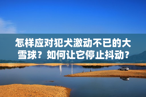 怎樣應(yīng)對犯犬激動不已的大雪球？如何讓它停止抖動？