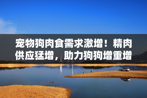 寵物狗肉食需求激增！精肉供應(yīng)猛增，助力狗狗增重增食欲