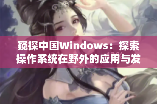 窺探中國Windows：探索操作系統(tǒng)在野外的應用與發(fā)展