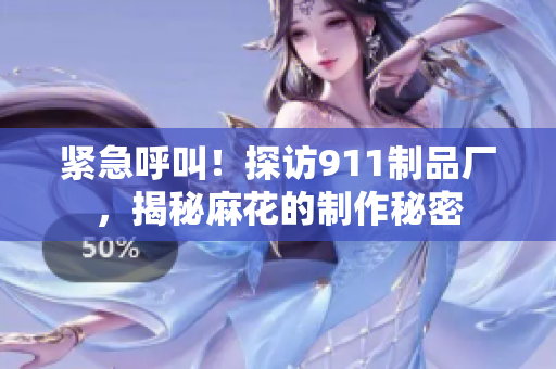 緊急呼叫！探訪911制品廠，揭秘麻花的制作秘密