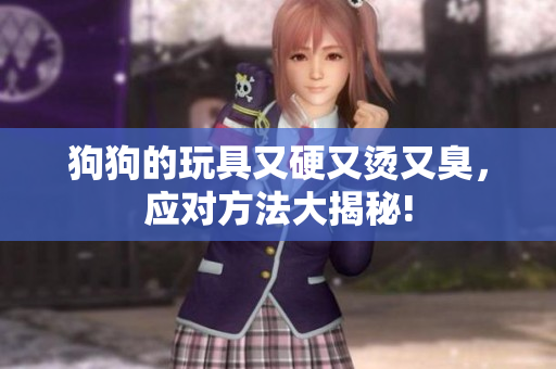 狗狗的玩具又硬又燙又臭，應(yīng)對(duì)方法大揭秘!