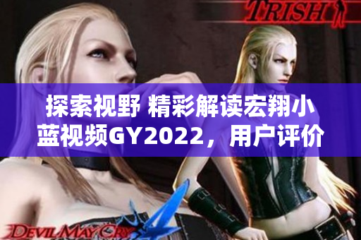探索視野 精彩解讀宏翔小藍(lán)視頻GY2022，用戶評價告訴你它的真實(shí)價值