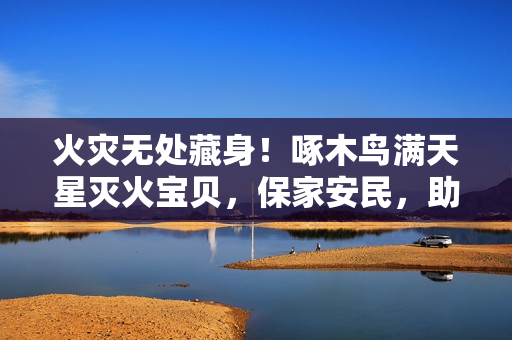 火災(zāi)無處藏身！啄木鳥滿天星滅火寶貝，保家安民，助力消防！