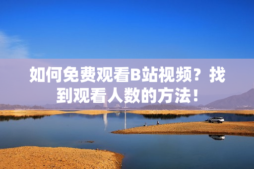 如何免費(fèi)觀看B站視頻？找到觀看人數(shù)的方法！