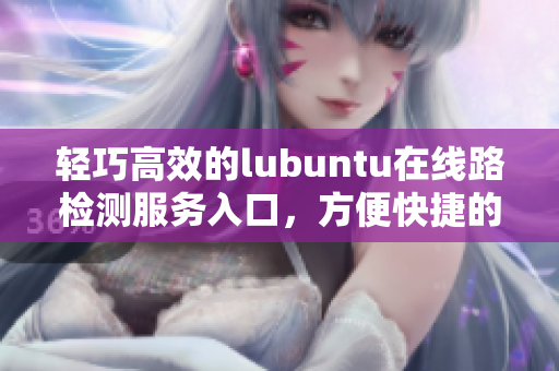 輕巧高效的lubuntu在線路檢測服務(wù)入口，方便快捷的上網(wǎng)體驗(yàn)