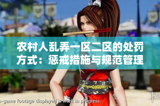 農(nóng)村人亂弄一區(qū)二區(qū)的處罰方式：懲戒措施與規(guī)范管理的綜合應(yīng)對(duì)