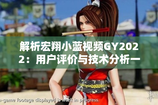 解析宏翔小藍(lán)視頻GY2022：用戶評價與技術(shù)分析一覽