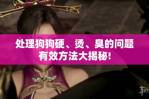 處理狗狗硬、燙、臭的問題有效方法大揭秘!