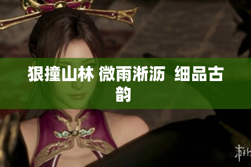狠撞山林 微雨淅瀝  細(xì)品古韻 