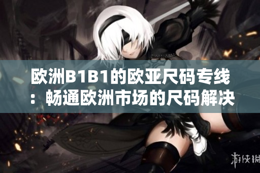 歐洲B1B1的歐亞尺碼專線：暢通歐洲市場的尺碼解決方案
