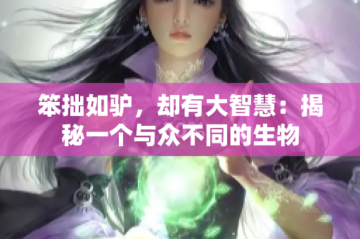 笨拙如驢，卻有大智慧：揭秘一個與眾不同的生物