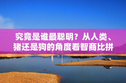 究竟是誰最聰明？從人類、豬還是狗的角度看智商比拼