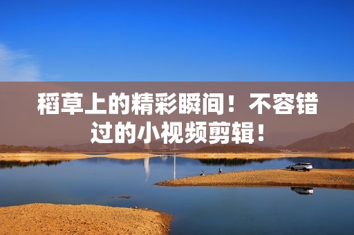 稻草上的精彩瞬間！不容錯過的小視頻剪輯！