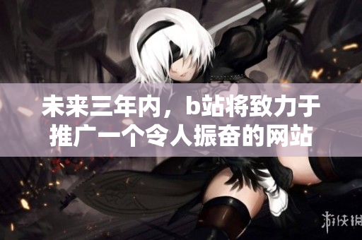 未來三年內(nèi)，b站將致力于推廣一個令人振奮的網(wǎng)站