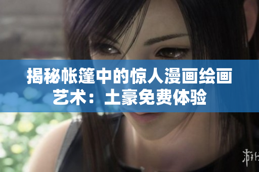 揭秘帳篷中的驚人漫畫繪畫藝術(shù)：土豪免費(fèi)體驗(yàn)