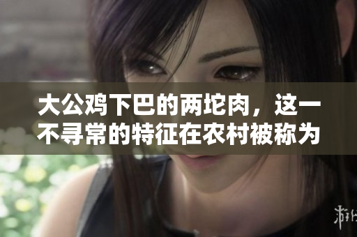 大公雞下巴的兩坨肉，這一不尋常的特征在農(nóng)村被稱為“雄壯之證”。