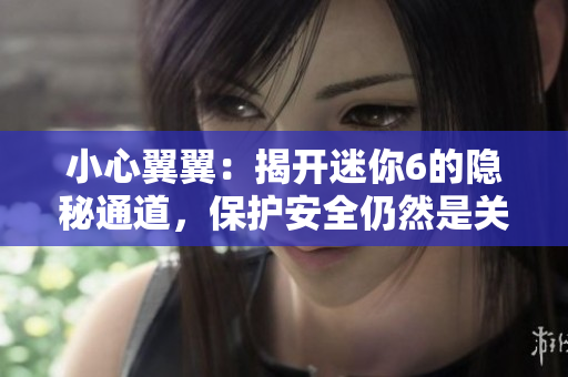 小心翼翼：揭開迷你6的隱秘通道，保護(hù)安全仍然是關(guān)鍵