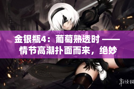 金銀瓶4：葡萄熟透時(shí) —— 情節(jié)高潮撲面而來(lái)，絕妙故事繼續(xù)精彩演繹。