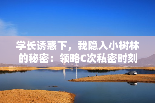 學(xué)長(zhǎng)誘惑下，我隱入小樹林的秘密：領(lǐng)略C次私密時(shí)刻