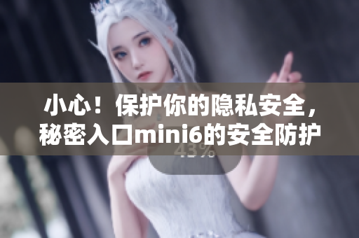 小心！保護你的隱私安全，秘密入口mini6的安全防護全解析