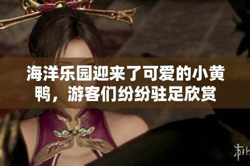 海洋樂園迎來了可愛的小黃鴨，游客們紛紛駐足欣賞