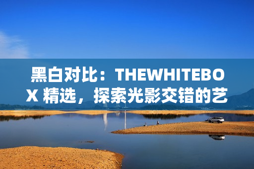 黑白對(duì)比：THEWHITEBOX 精選，探索光影交錯(cuò)的藝術(shù)世界