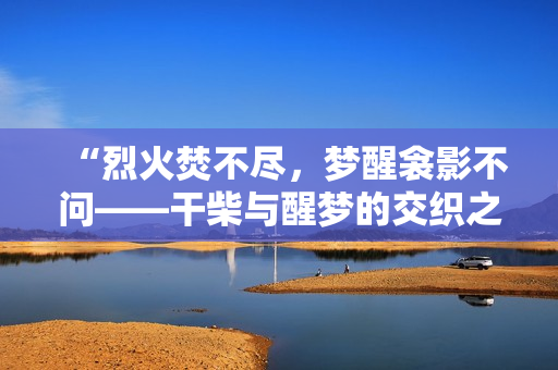 “烈火焚不盡，夢(mèng)醒衾影不問——干柴與醒夢(mèng)的交織之美”