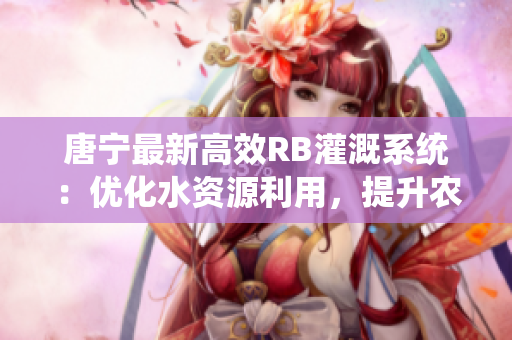 唐寧最新高效RB灌溉系統(tǒng)：優(yōu)化水資源利用，提升農(nóng)田產(chǎn)量