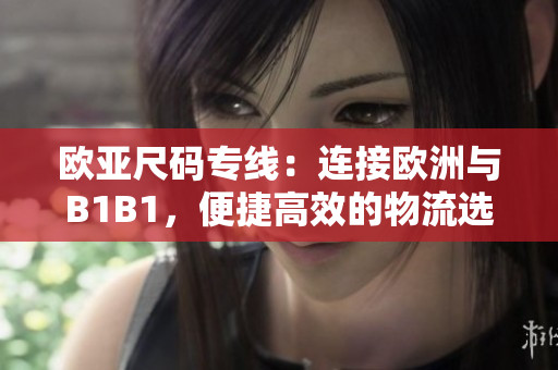 歐亞尺碼專線：連接歐洲與B1B1，便捷高效的物流選擇