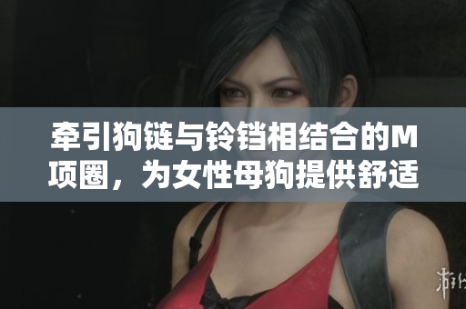 牽引狗鏈與鈴鐺相結(jié)合的M項(xiàng)圈，為女性母狗提供舒適與引導(dǎo)。