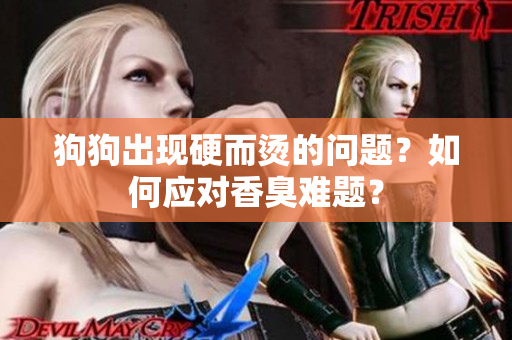 狗狗出現(xiàn)硬而燙的問(wèn)題？如何應(yīng)對(duì)香臭難題？