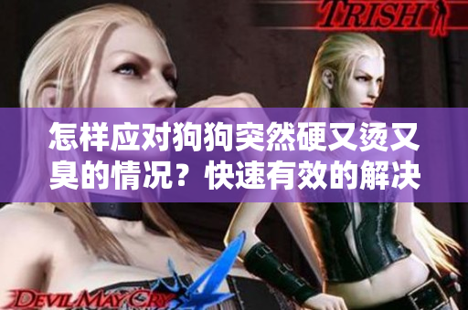 怎樣應對狗狗突然硬又燙又臭的情況？快速有效的解決方法分享