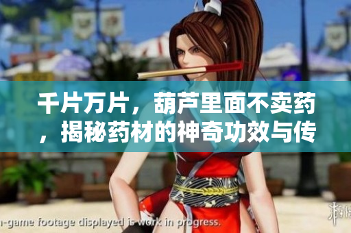 千片萬片，葫蘆里面不賣藥，揭秘藥材的神奇功效與傳說