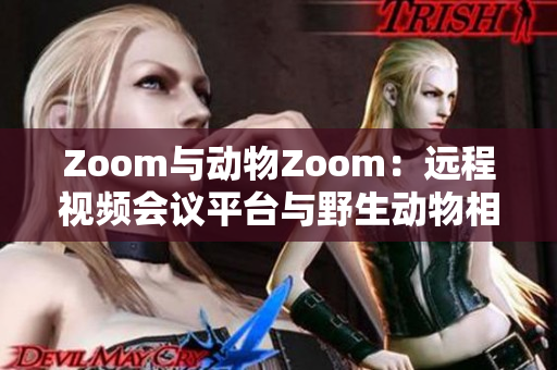 Zoom與動物Zoom：遠程視頻會議平臺與野生動物相遇的奇妙之旅