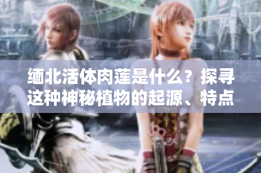 緬北活體肉蓮是什么？探尋這種神秘植物的起源、特點與用途