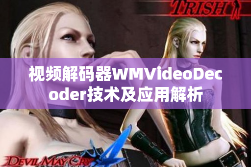 視頻解碼器WMVideoDecoder技術(shù)及應(yīng)用解析