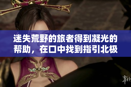 迷失荒野的旅者得到凝光的幫助，在口中找到指引北極星 尋找回家的旅者